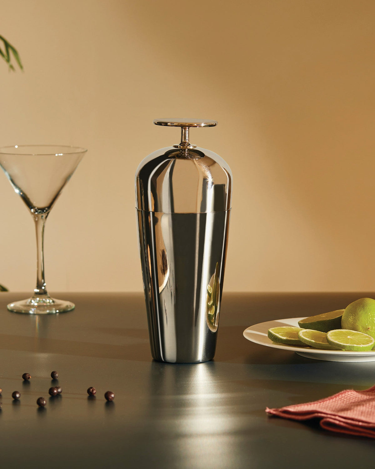 The tending box – agitatore per cocktail "Parisienne" in acciaio inossidabile 18/10 – ambientata