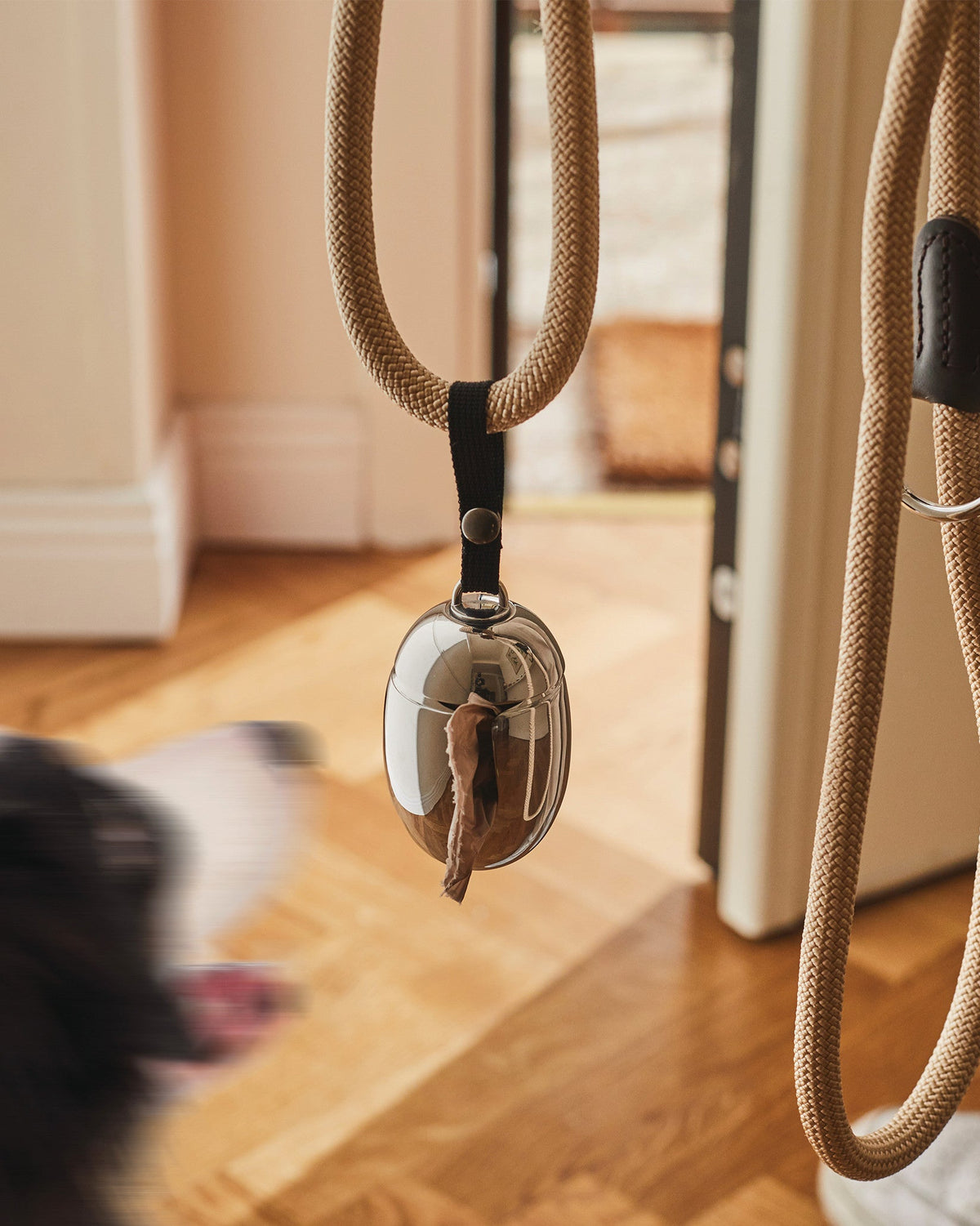 Acino – porta sacchetti igienici per cani – ambientata