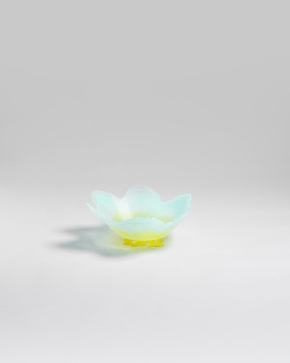 Flower Vase – vaso – ambientata