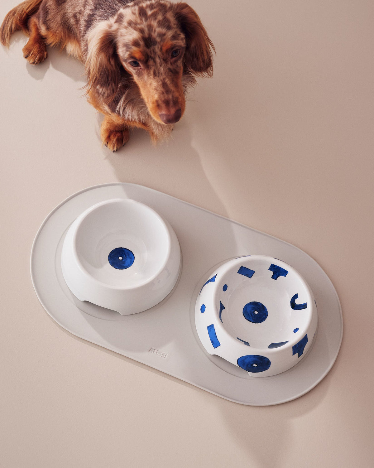 Itsumo pet Yunoki ware – ciotola per cani (NF15 2) - Sag 80 - Alessi - Complemento
