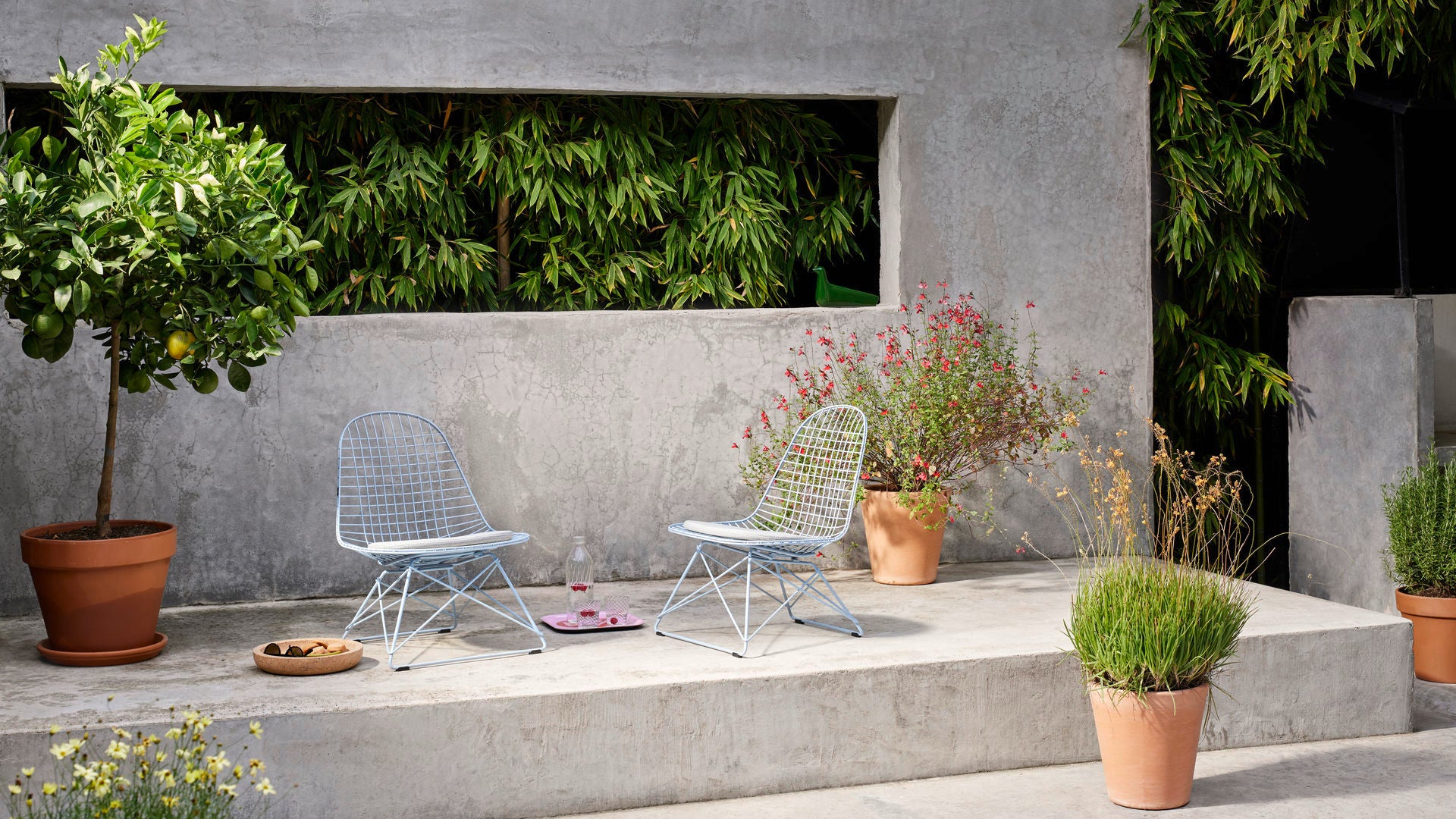 Wire Chair LKR - Sag 80 - Vitra - Sedia