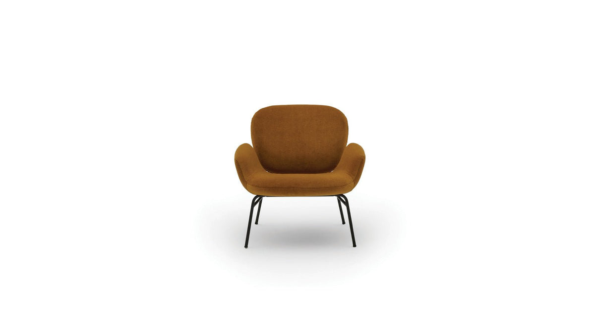 Momo – poltrona - Sag 80 - Arflex - Poltrona