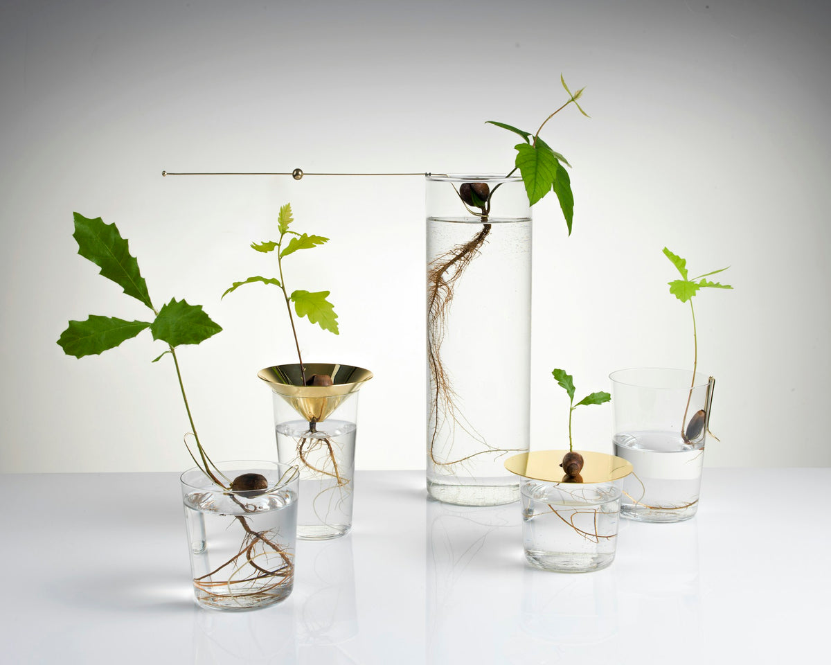 Floating Forest – vaso – ambientata