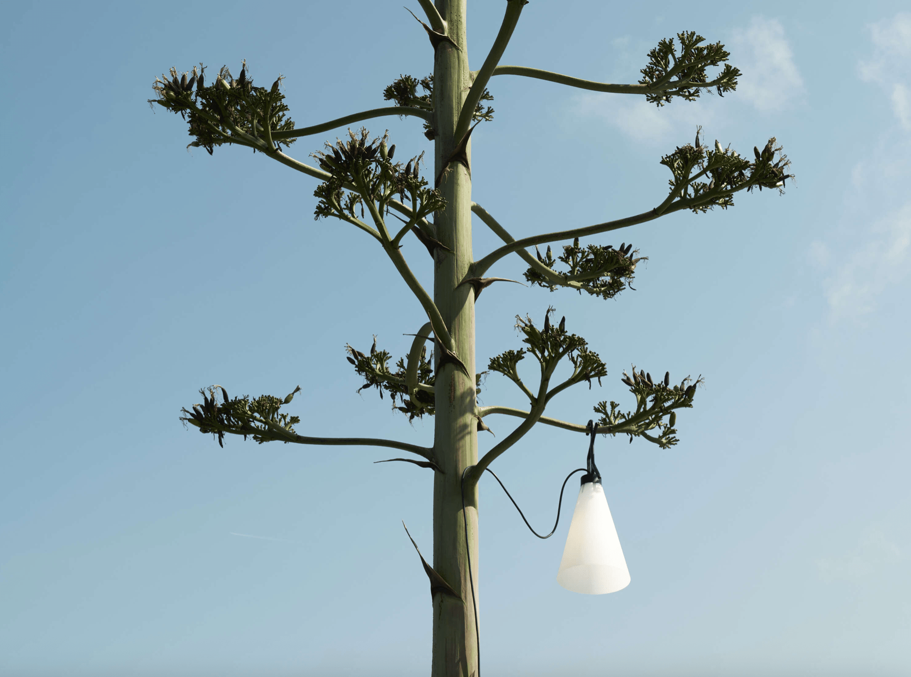 Lampada Mayday Outdoor - Sag 80 - Flos - Lampada