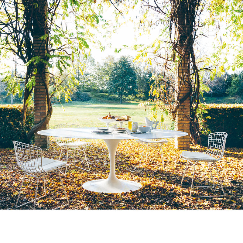 Knoll_43