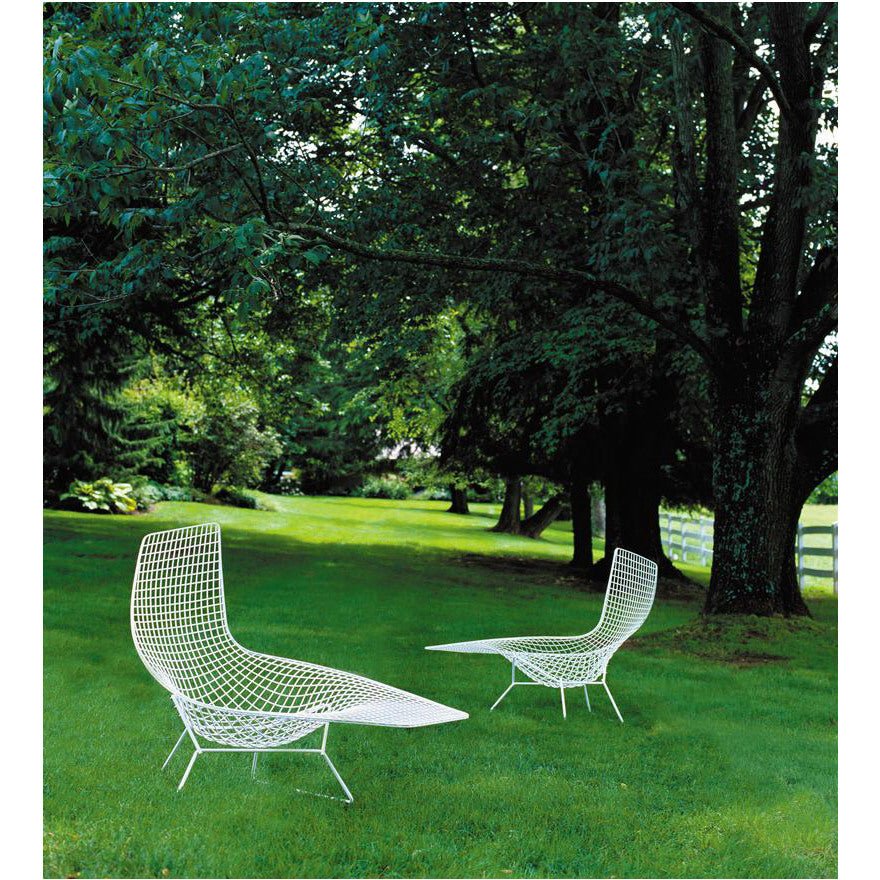 Sedia Asimmetrica Bertoia - Sag 80 - Knoll - Sedia