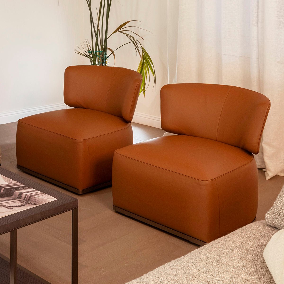 Poltrona Amoenus Soft - Sag 80 - Maxalto - Poltrona