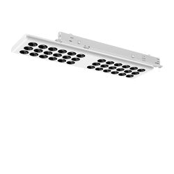 Workmates Suspension Up&Down