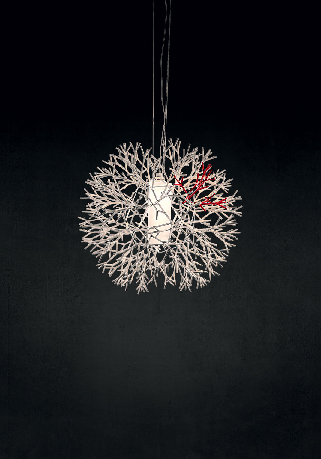 Coral – lampada – ambientata