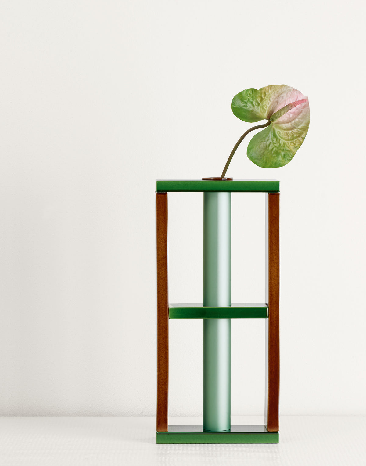Camino – vaso – ambientata