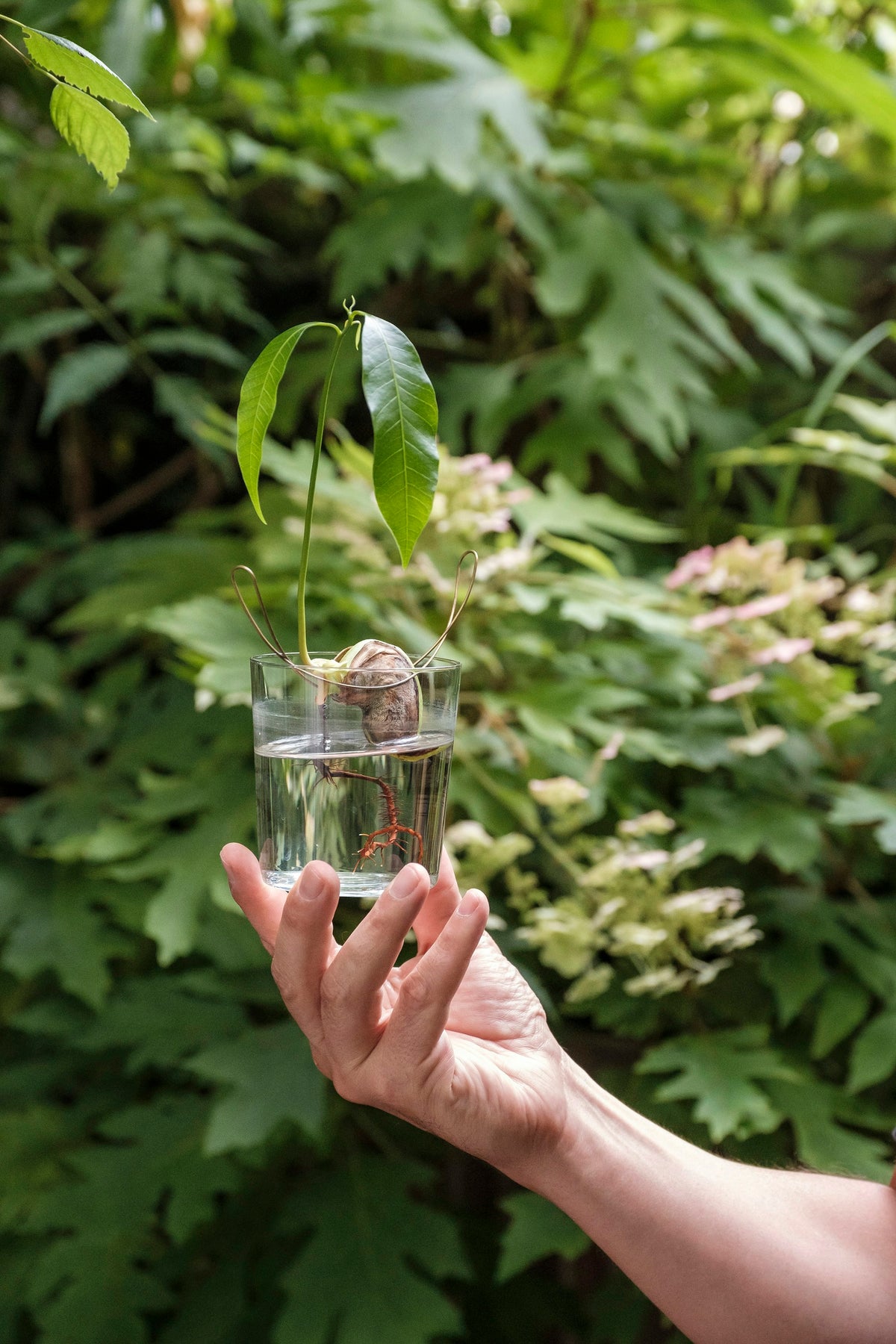Floating Forest – vaso – ambientata
