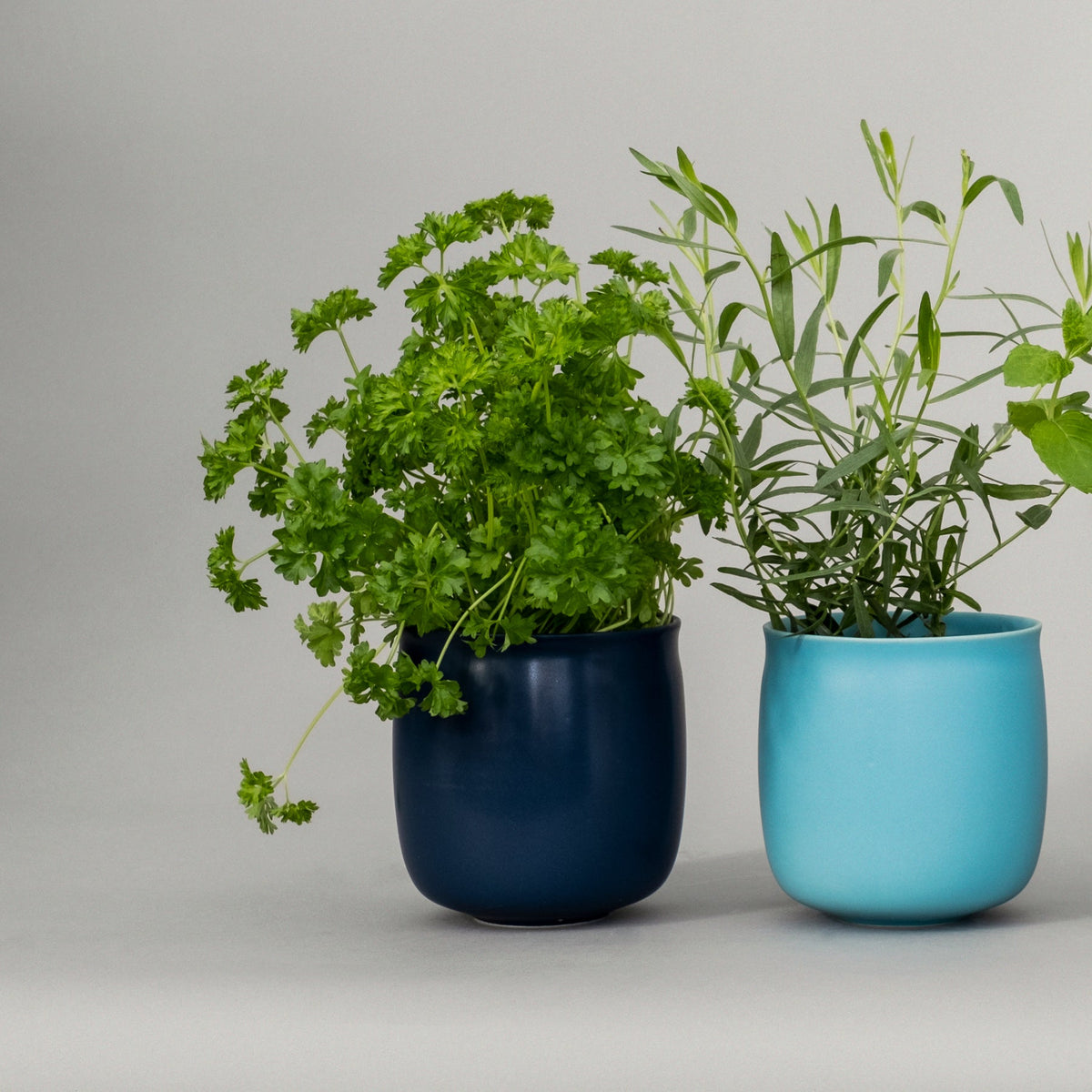 Alev – vaso - Sag 80 - Raawii - Complemento