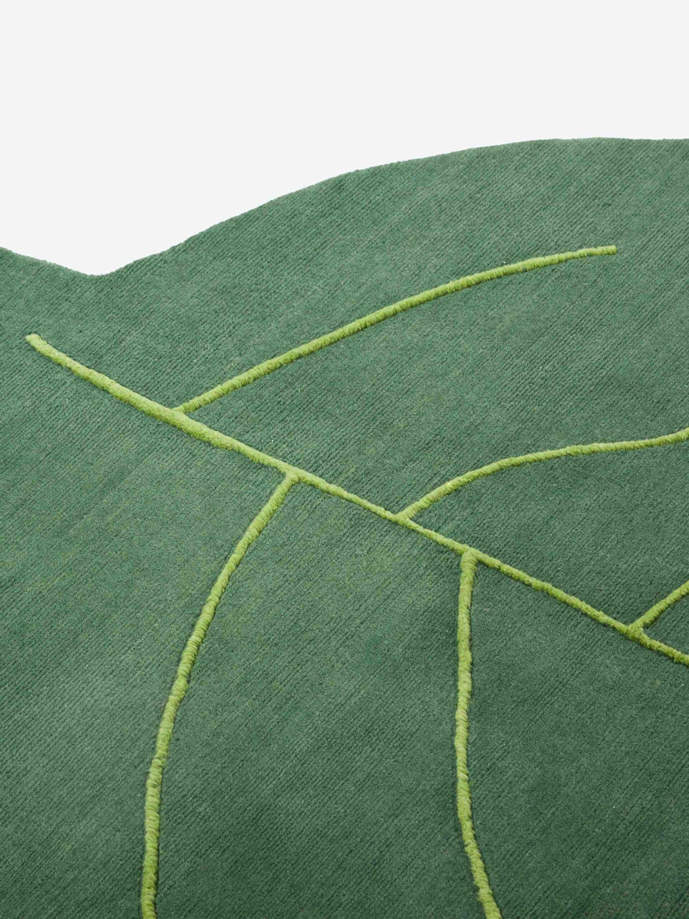 Centocchio – tappeto – ambientata