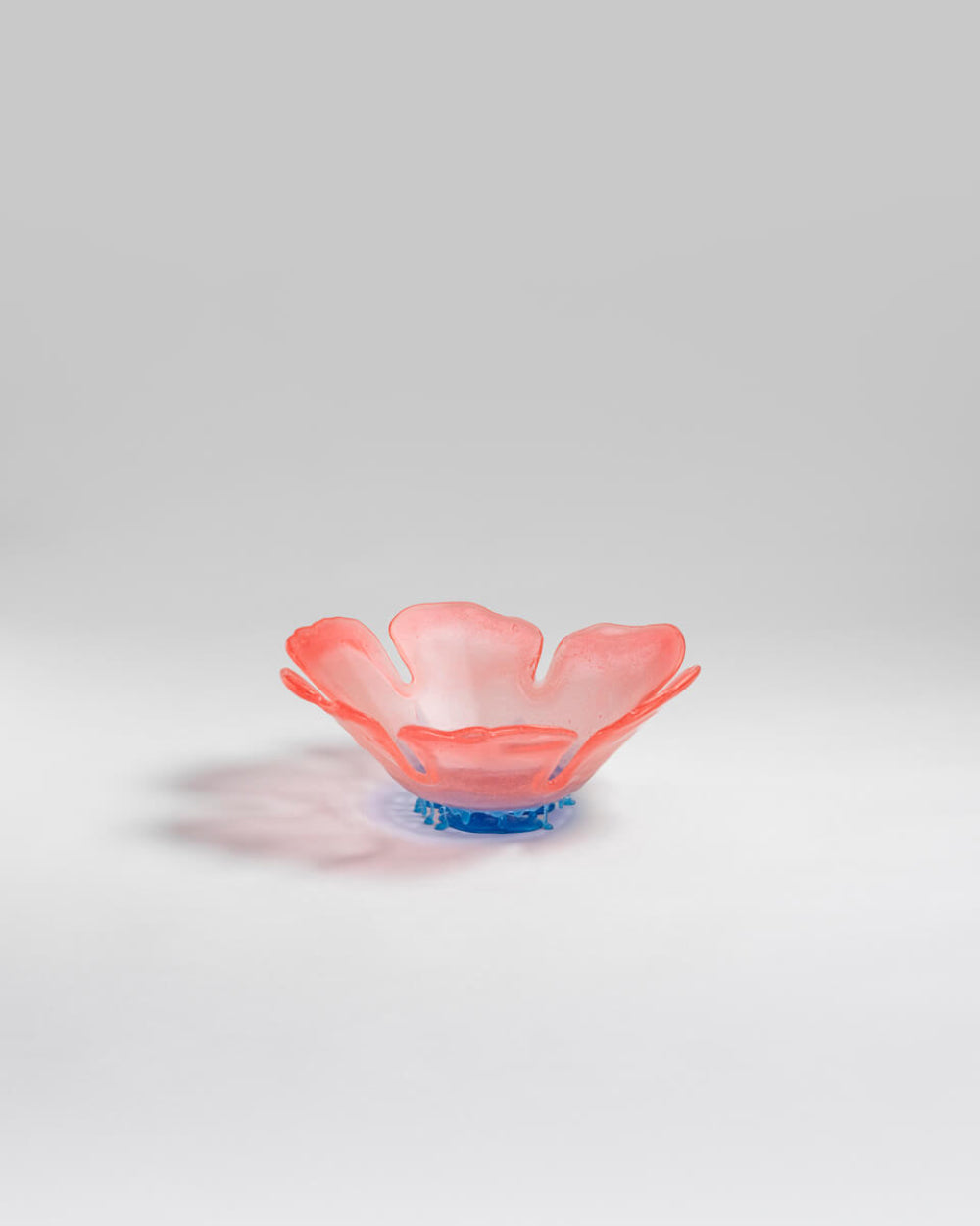 Flower Vase – vaso – ambientata