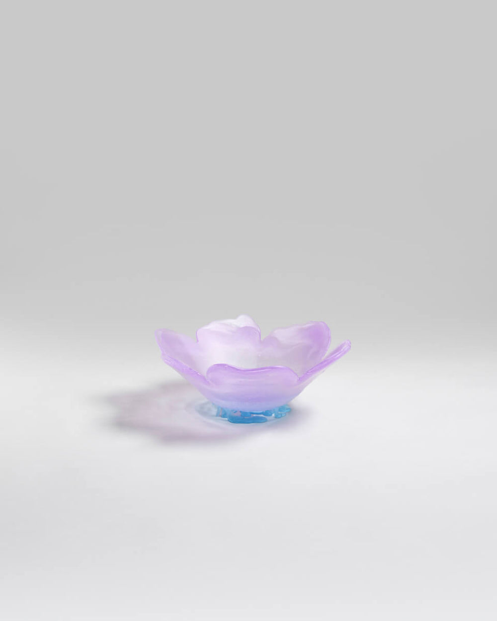 Flower Vase – vaso – ambientata