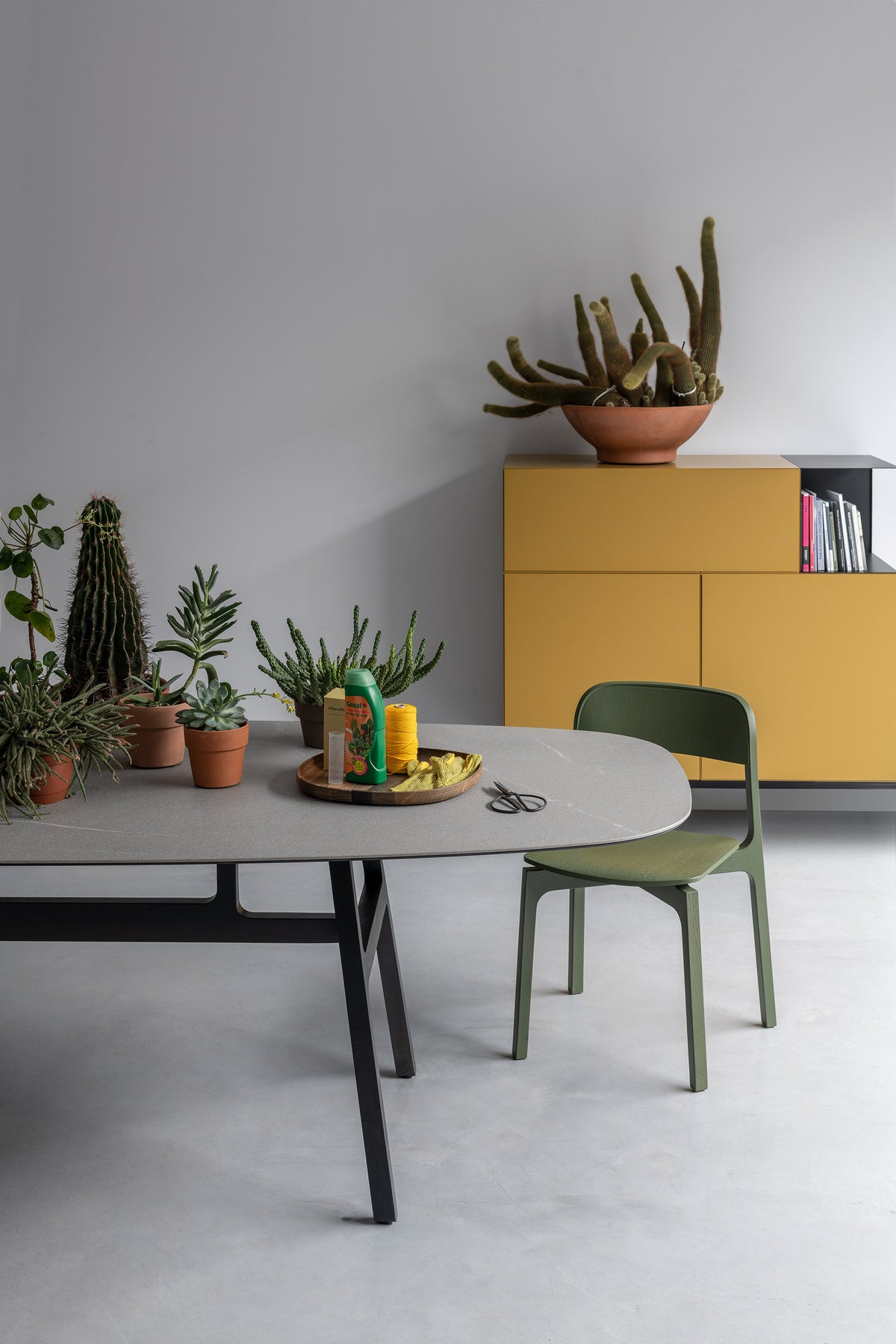 Bottega – tavolo – ambientata