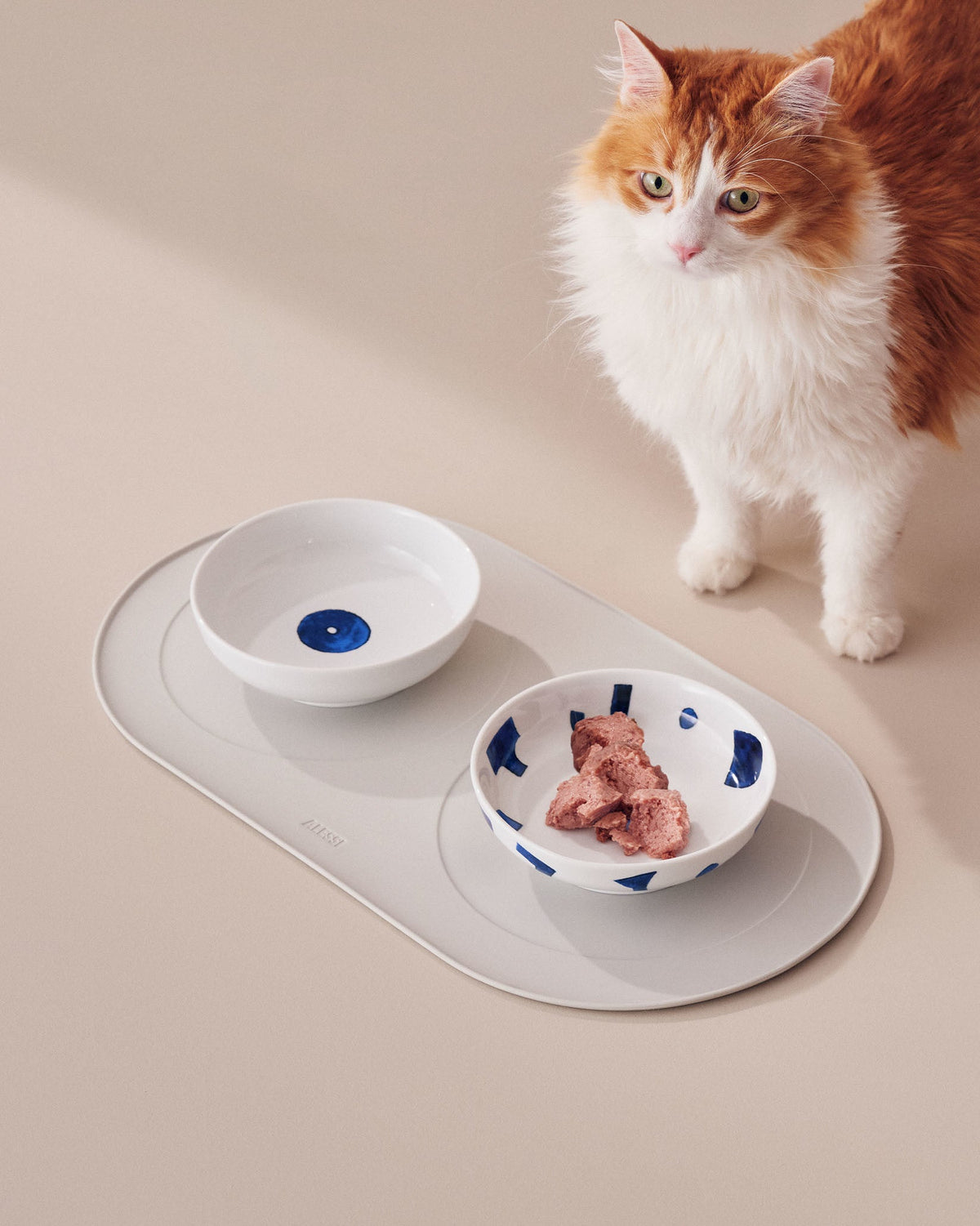Itsumo pet – tappetino sottociotola per cani e gatti – ambientata