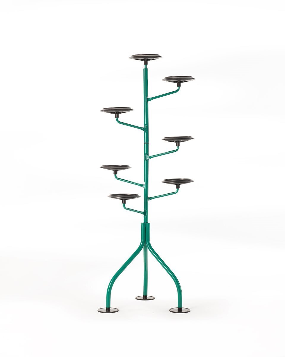 Albero – portavasi – ambientata