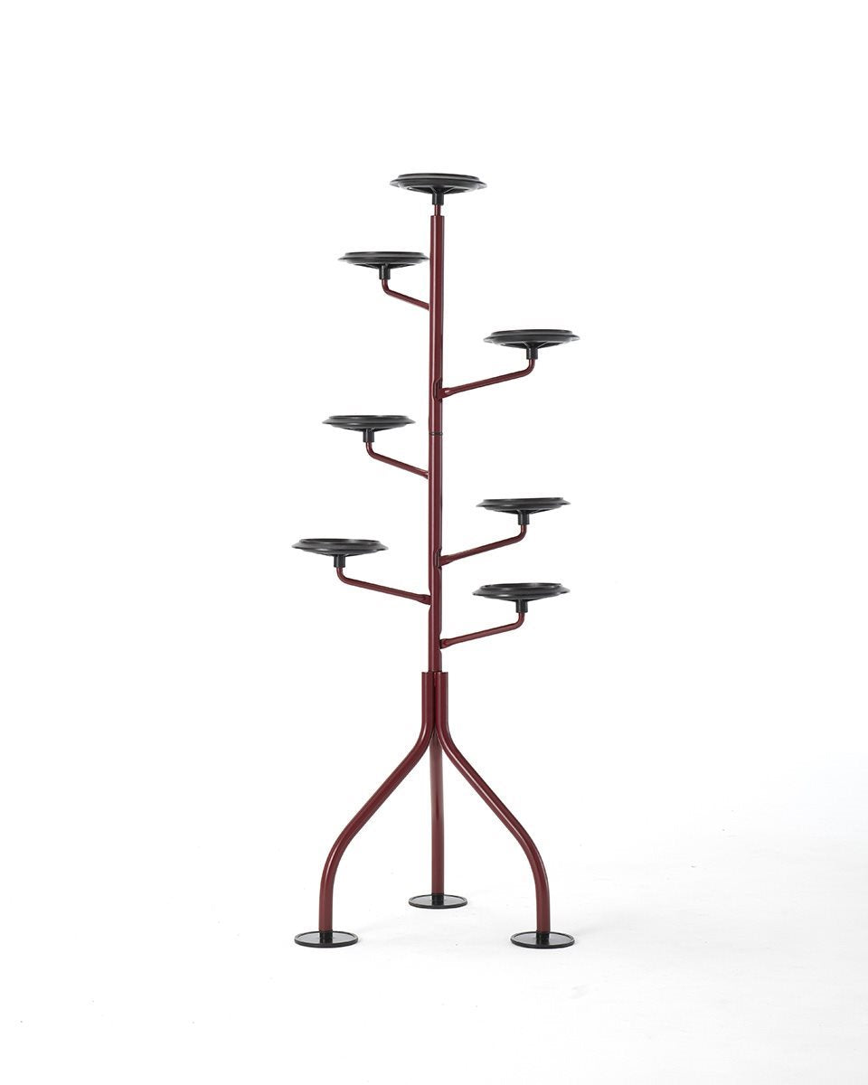 Albero – portavasi – ambientata