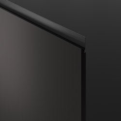 Convivium New Professional