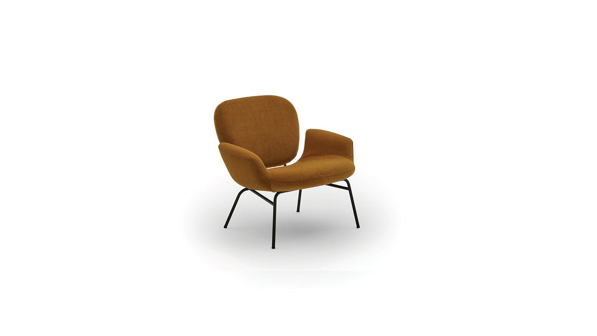 Momo – poltrona - Sag 80 - Arflex - Poltrona