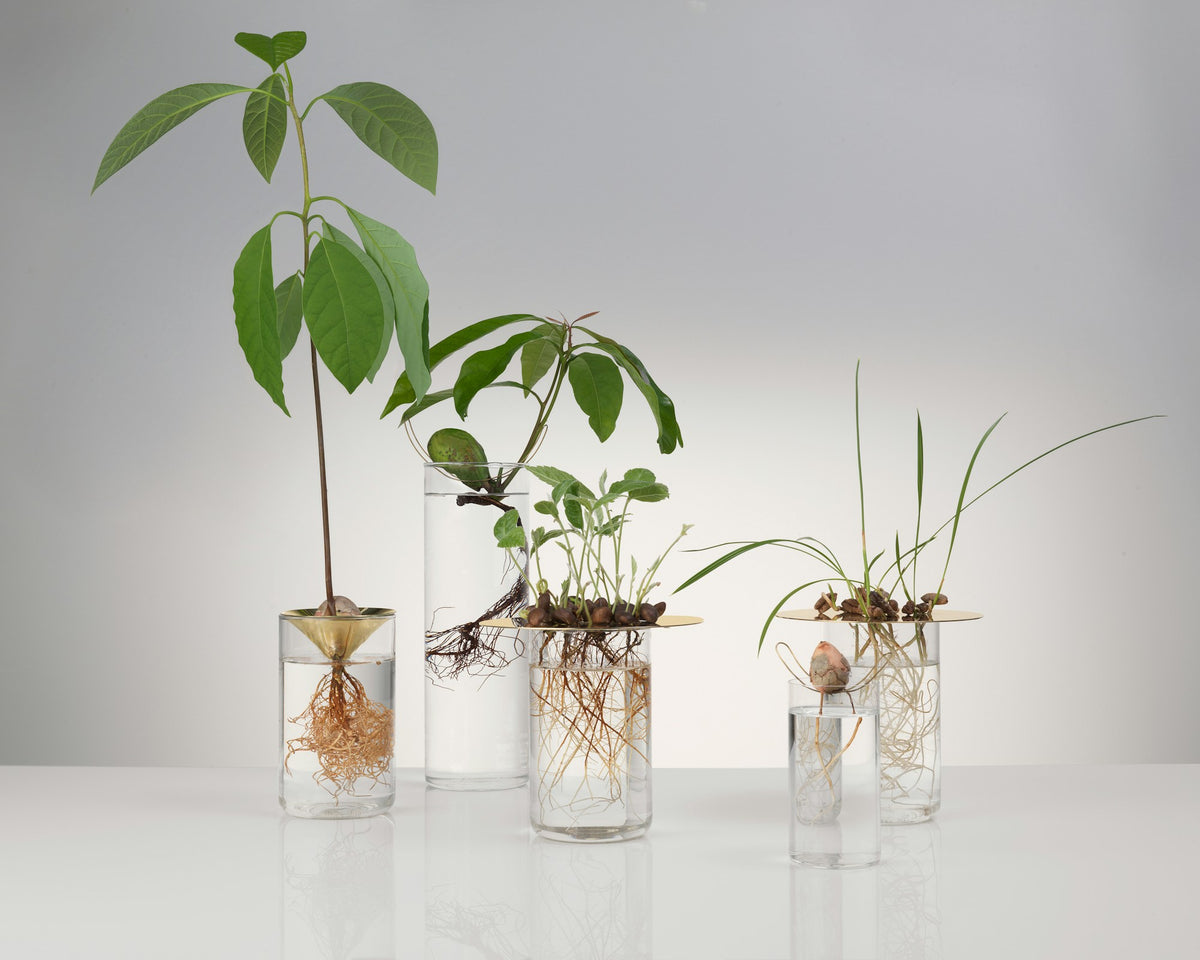 Floating Forest – vaso – foto prodotto
