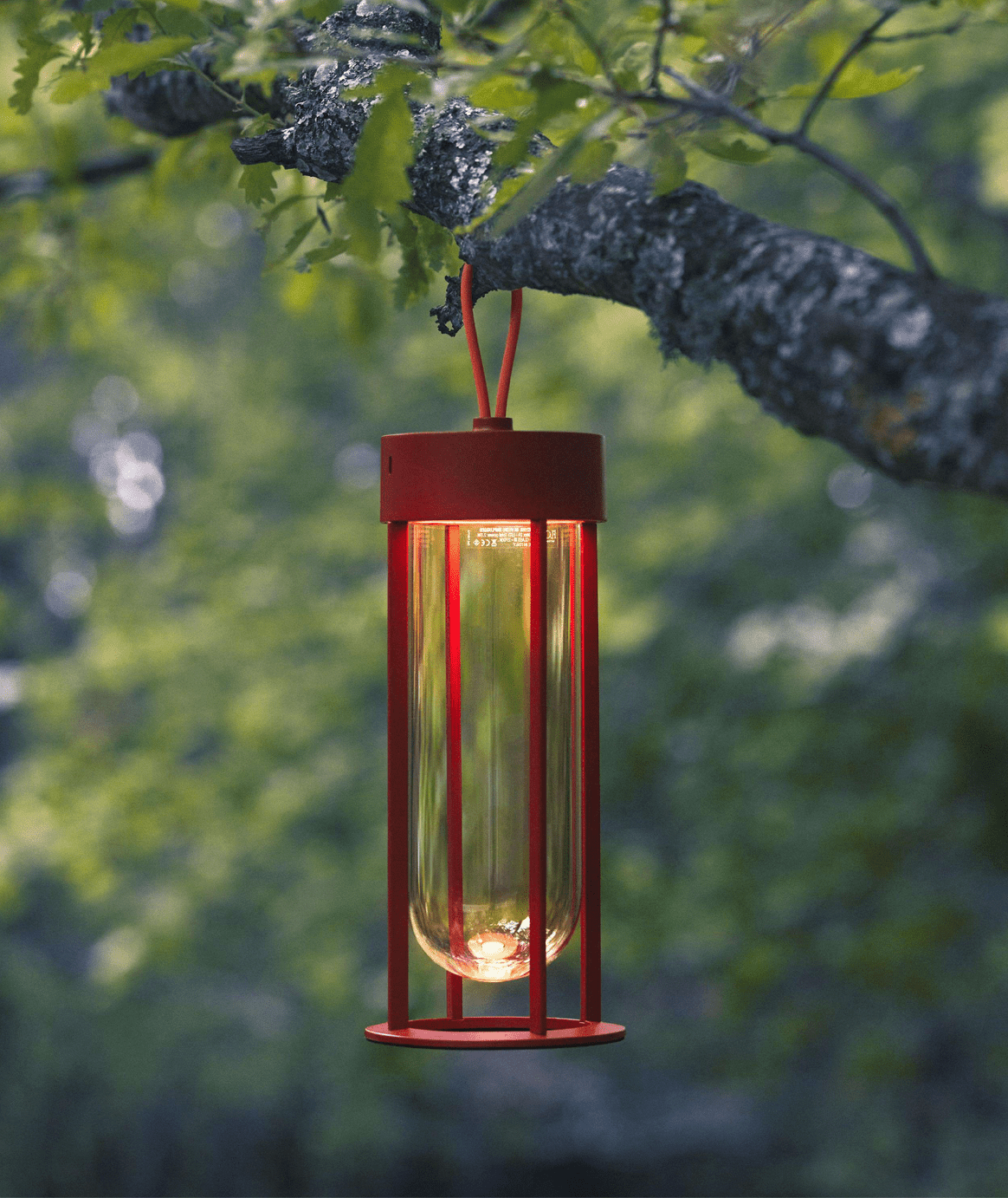 Lampada In Vitro Unplugged - Sag 80 - Flos - Lampada