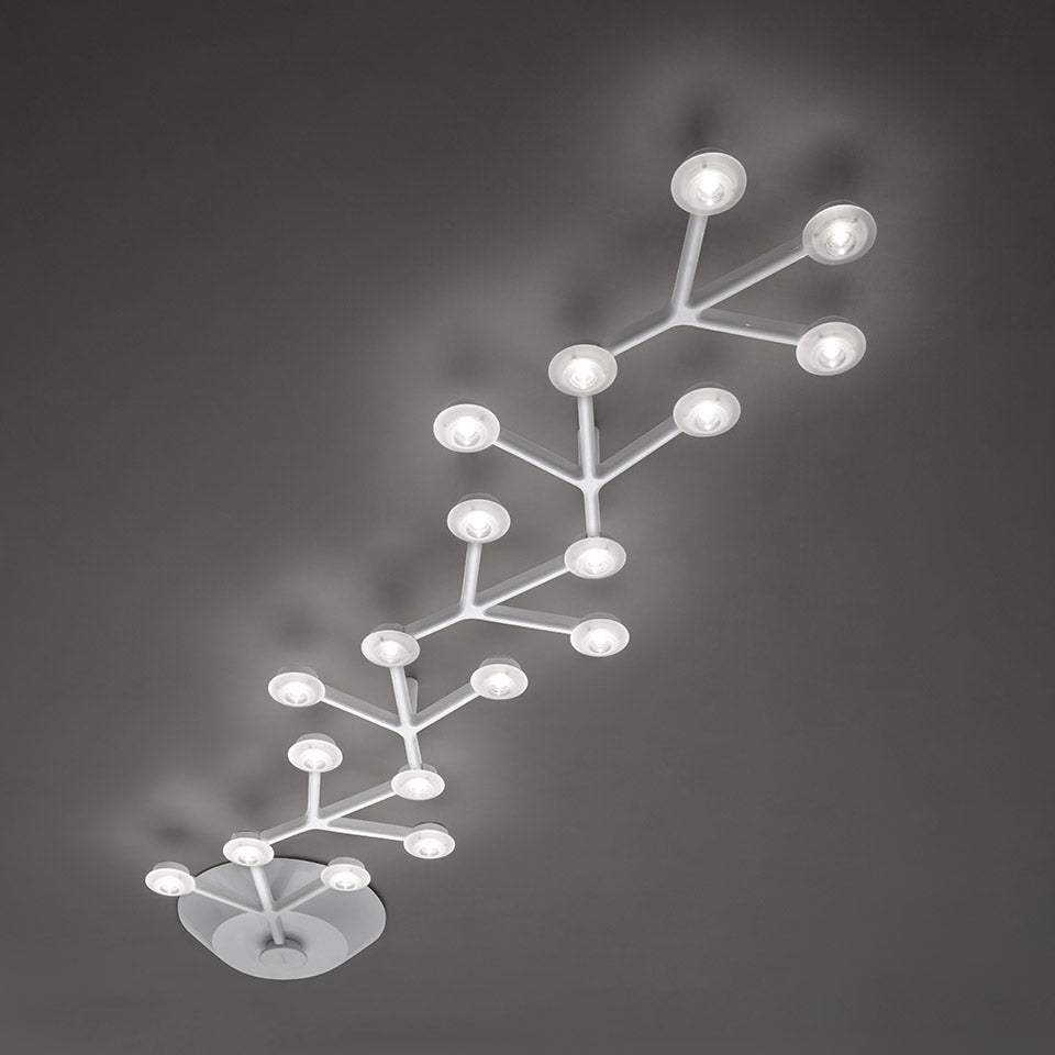 Led Net lineare – plafoniera – ambientata